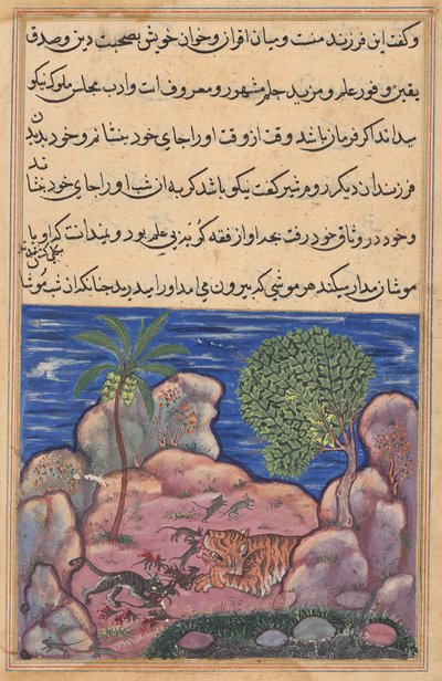 Il gatto attacca i topi che disturbano il leone, da un Tuti-nama (Tales of a Parrot): quindicesima notte da Unknown artist