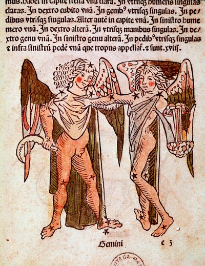La costellazione dei Gemelli (dettaglio) da 