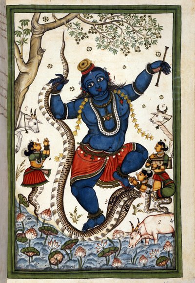 La divinità della triade brahmanica Vishnu. Pagina dal manoscritto (ms. 8300) "Storia del Mogol" di Stefano Nivibus Cardeira. XVIII secolo. Biblioteca Marciana, Venezia da Unknown artist
