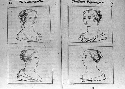 I diversi profili femminili Pagina tratta da "Tractatus physiologicus de pulchritudine" di Ernesto Venio (Ernestus Vaenius) difendendo la bellezza della creazione contro un anonimo avversario. 1612 da Unknown artist