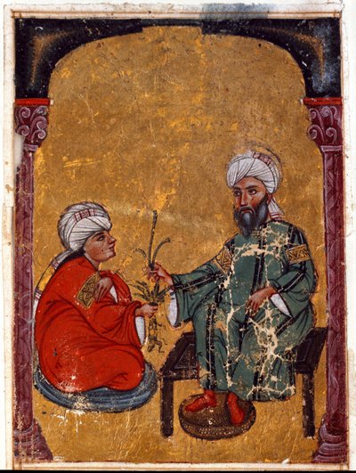 Il medico e botanico Pedanio Dioscoride (40-90 d.C.) spiega a uno dei suoi studenti le virtù delle piante Miniatura tratta dal suo trattato “De materia medica” (Fol. 2 verso) Iraq, 1229 Biblioteca del Museo Topkapi Sarayi, Istanbul da Unknown artist