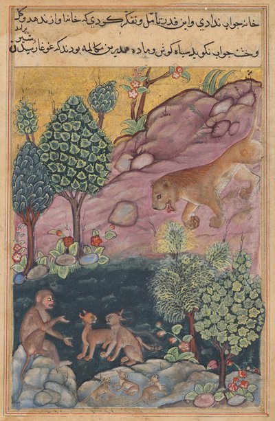 Il leone ritorna nel suo territorio e vede la scimmia conversare con la lince, da un Tuti-nama (Tales of a Parrot): Ventinovesima Notte da Unknown artist