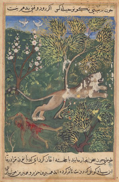 Il leone, sospettando un tradimento da parte della scimmia, la uccide e fugge, da un Tuti-nama (Tales of a Parrot): Ventinovesima Notte da Unknown artist