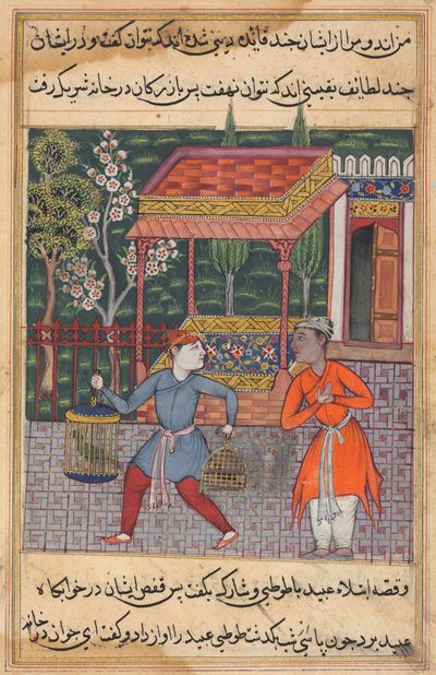 Il mercante di Tirmiz porta il saggio pappagallo e la myna a ‘Ubaid, da un Tuti-nama (Racconti di un pappagallo): Quarantaduesima Notte da Unknown artist