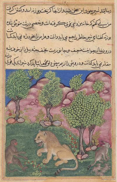 La scimmia consiglia al leone sospettoso di liberarsi della paura e prendere possesso del suo territorio, da un Tuti-nama (Tales of a Parrot): Ventinovesima Notte da Unknown artist