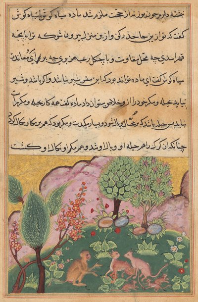 La scimmia, servendo come ciambellano del leone, conversa con la lince e il suo compagno che sono arrivati con i loro cuccioli per stabilirsi nel dominio del leone, da un Tuti-nama (Tales of a Parrot): Ventinovesima Notte da Unknown artist