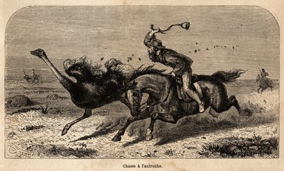 La caccia allo struzzo, tratto da una fotografia, per illustrare la storia della caccia in Africa di William Charles Baldwin tra il 1852 e il 1860. Incisione in "Le tour du monde", a cura di Edouard Charton da Unknown artist