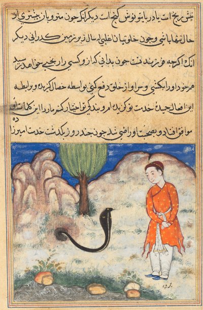 Il principe, figlio del sovrano di Sistan, entra al servizio di un serpente, da un Tuti-nama (Storie di un pappagallo): Trentaquattresima notte da Unknown artist