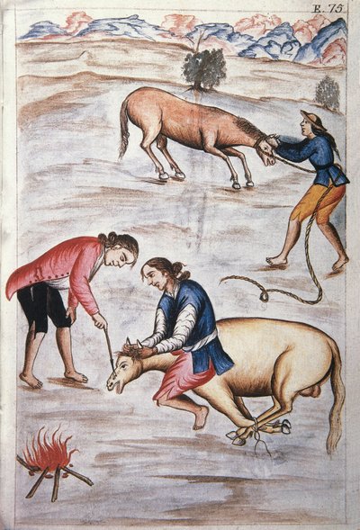 Il marchio a fuoco rosso di una giumenta, dal libro "Trujillo del Peru" o "Codice Martínez Compañón", di Baltazar Martinez Compañón y Bujanda, vescovo di Trujillo (1782-1785) da Unknown artist