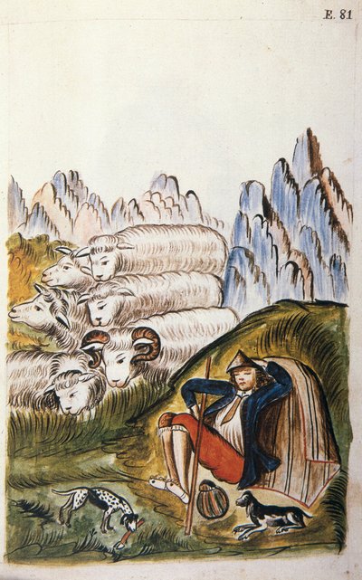 Il pastore e il suo gregge di pecore, dal libro "Trujillo del Peru" o "Codice Martínez Compañón", di Baltazar Martinez Compañón y Bujanda, vescovo di Trujillo (1782-1785) da Unknown artist