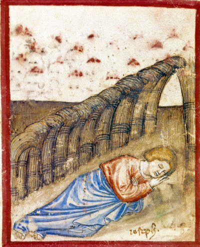 La visione di Giuseppe, figlio di Giacobbe Miniatura dal codice 212 (o codice padovano o Bibbia di Padova) 1390-1400 Rovigo, Accademia dei Concordi da Unknown artist