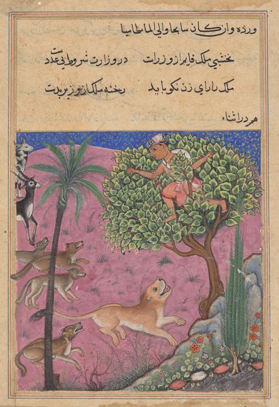 Il lupo e lo sciacallo, che servono come visir, istigano il leone che insegue il Brahmano su un albero, da un Tuti-nama (Racconti di un pappagallo): Ventunesima Notte da Unknown artist