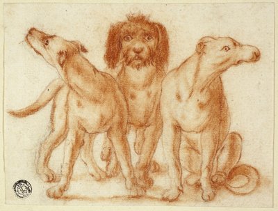 Tre cani da Unknown artist