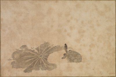 Tartaruga in uno stagno di loto da Unknown artist