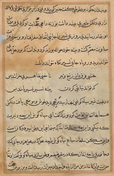 Tuti-Nama (Tales of a Parrot) da Unknown artist