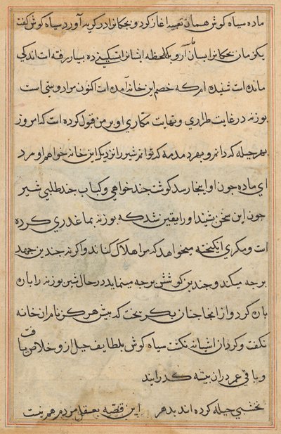 Tuti-Nama (Tales of a Parrot) da Unknown artist