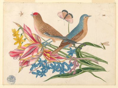 Due Uccelli su un Ramo di Tulipani con Insetti da Unknown artist
