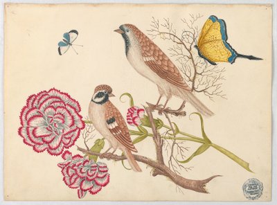 Due uccelli marroni con garofani e farfalle da Unknown artist