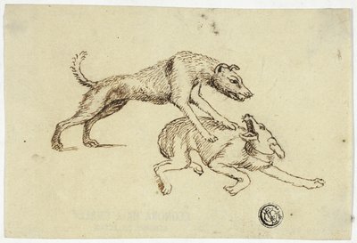Due cani che combattono da Unknown artist