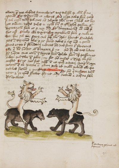 Due leoni seduti sulle spalle di due orsi da Unknown artist