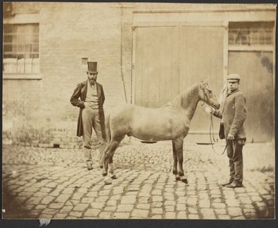 [Due uomini e un cavallo] da Unknown artist