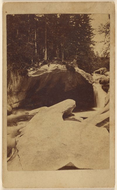[Veduta di una foresta non identificata con rocce e caverna]. da Unknown artist