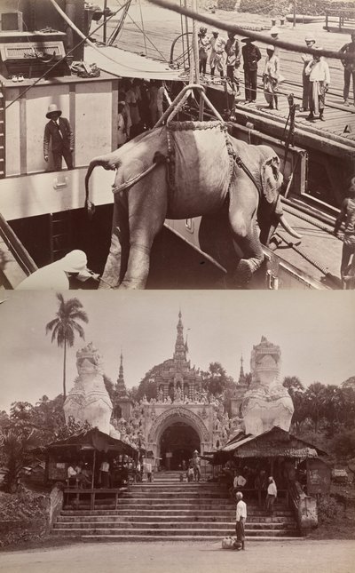Senza titolo: (elefante che viene caricato su una nave, recto); (gradini e edificio, verso) da Unknown artist