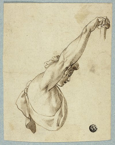 Torso superiore con braccia alzate da Unknown artist