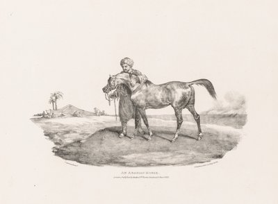 Vari Soggetti Tratti dalla Vita e su Pietra: Un Cavallo Arabo da Unknown artist