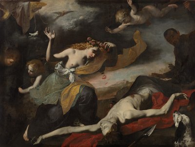 Venere scopre il corpo di Adone da Unknown artist