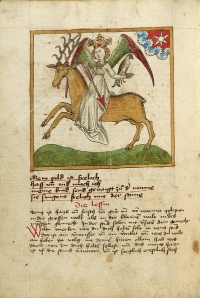 Venere a cavallo di un cervo da Unknown artist