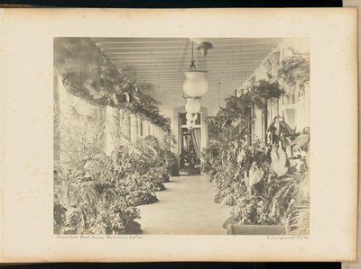 Veranda. Casa del Governo. Maurituis. da Unknown artist