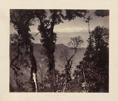 Vista da Senchal da Unknown artist