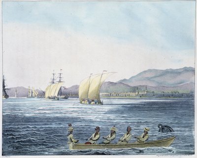 Veduta della città di Mamille, isola delle Filippine. da Unknown artist
