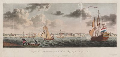 Veduta della città di Paramaribo, con la strada e le navi dalla riva opposta da Unknown artist