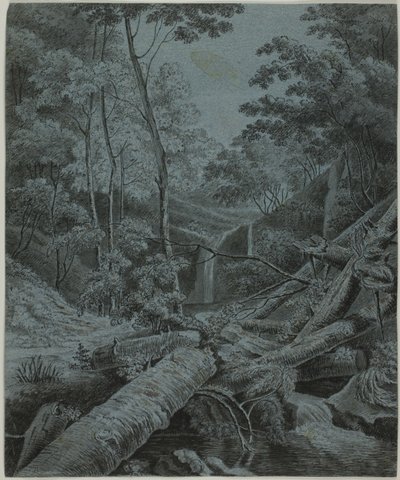 Cascata e tronchi caduti nella foresta da Unknown artist