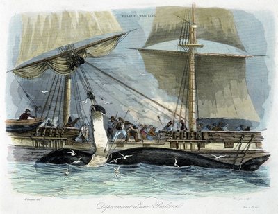 Pesca della balena: lo smembramento da Unknown artist