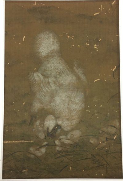 Gallina bianca e pulcini da Unknown artist