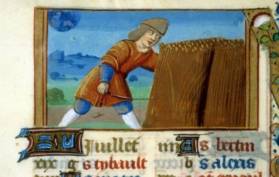 Zodiaco Leone e Raccolto - Miniatura del Medioevo (rif. 137, 049r): Richiesta di autorizzazione alla Biblioteca Municipale di Tolosa (tel: 05 62 27 66 66) da Unknown artist