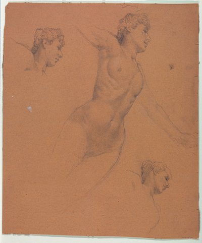 Disegno da Unknown artist