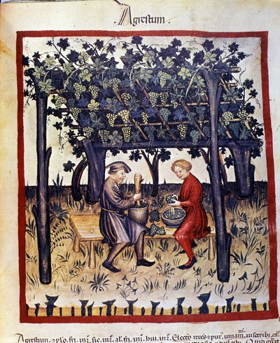 Pigiatura dell