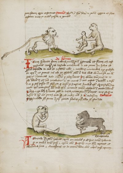 Un leone con una scimmia e il suo piccolo; Una scimmia; Un orso che mangia una giovane scimmia da Unknown artist/maker