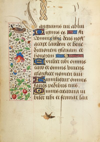 Pagina di testo decorata da Unknown artist/maker