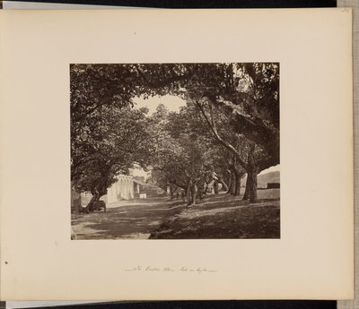 Hotel Oriental, Galle, Ceylon da Unknown artist/maker