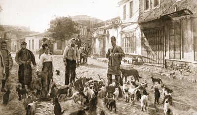 La gentilezza di un turco verso 