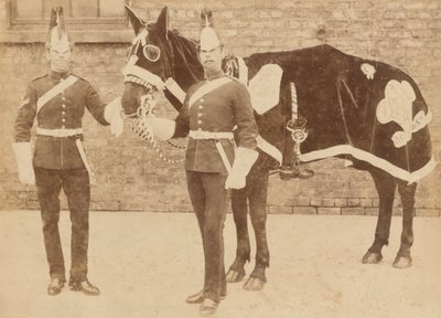 Un cavallo del 3° da Unknown
