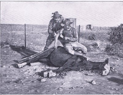 Una fuga stretta. Uno scout ferito che ha avuto il suo cavallo abbattuto, da Dopo Pretoria: La guerra di guerriglia pubblicata da Harmsworth Bros Limited da Unknown photographer