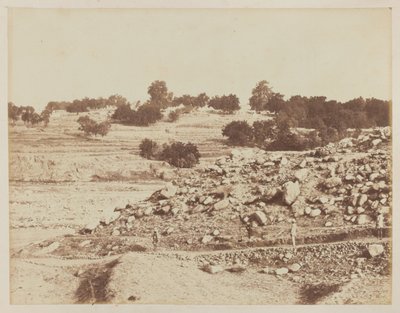 Campo di Amir Yakhub Khan, dove fu firmato il Trattato di Gandamak, Jafed Sing, maggio 1879 da Unknown photographer