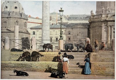 Antica Roma: veduta del Foro Romano. Italia, fine XIX secolo da Unknown photographer