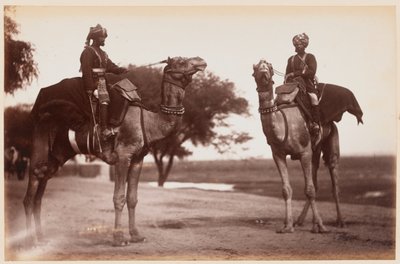 Camel Sowars al Campo di Esercizio di Delhi da Unknown photographer
